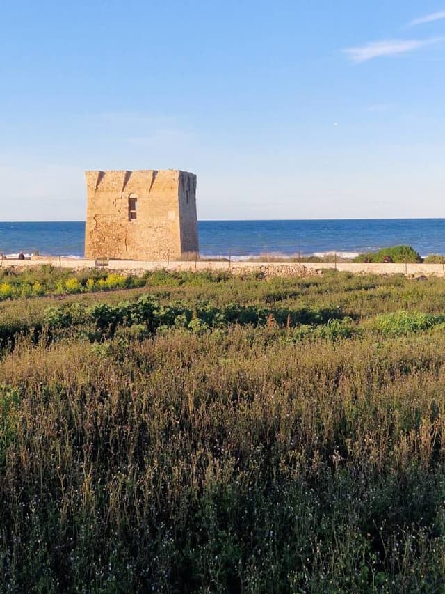 Foto 5 di Corrado C. (24/02/26)