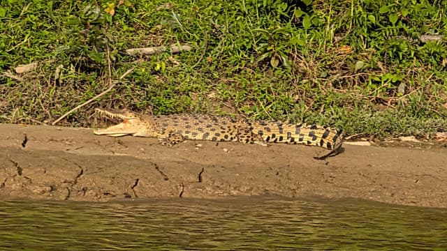 Photo 2 by Cornelis V. (3/29/26)