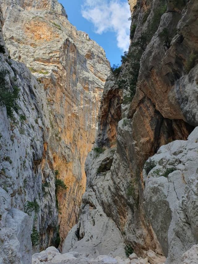 Photo 5 by Quelly S. about renting a Toyota Aygo in Olbia (9/20/23)