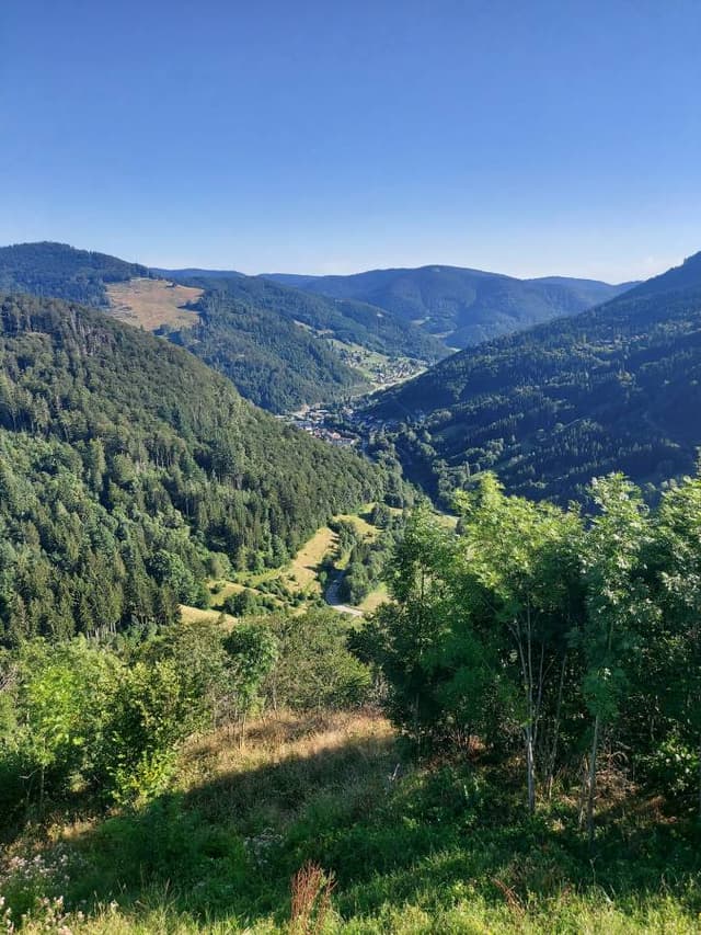 Photo 3 by Shimon A. about hiring a Skoda Kamiq at Charleroi Airport (30/08/24)