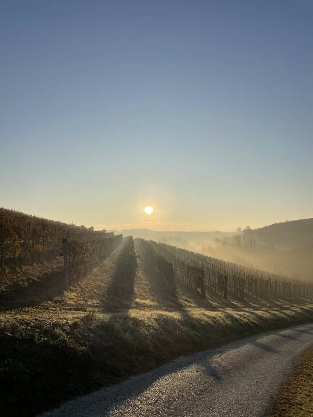 Photo 2 by Tymofii S. about renting a Fiat 500 in Bergamo (2/2/25)