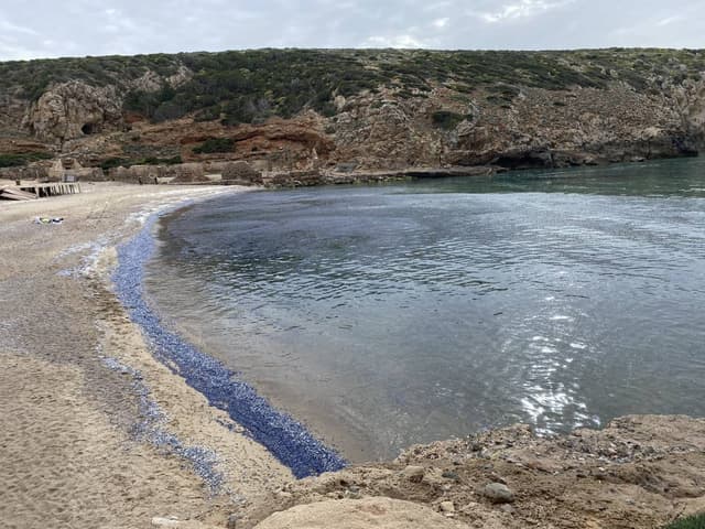Zdjęcie 1 wykonane przez Wojciech M. (16.04.25)