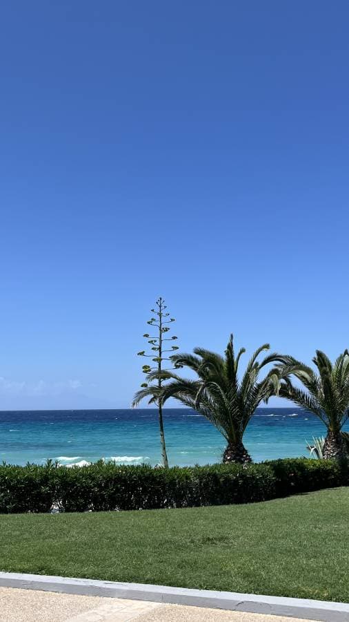 Fotografia 4 realizată de Elena R. (19.06.24)