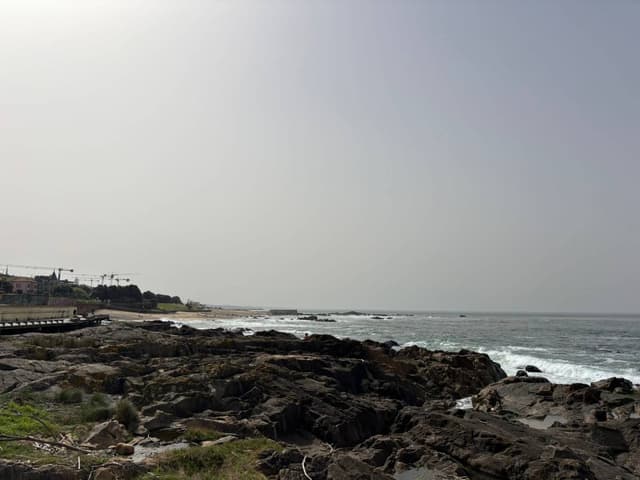 Photo 1 by Rania T. (4/11/26)