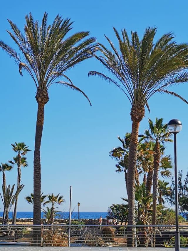 Foto von Patrick M. über die Anmietung einer Kia Stonic am Flughafen Fuerteventura (4.1.24)
