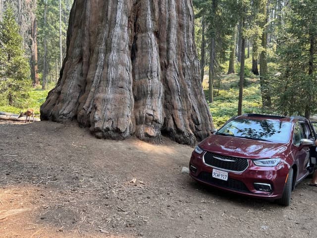 Zdjęcie wykonane przez Piotr W. dotyczące wynajmu Chrysler Pacifica w Waszyngtonie dnia (28.08.24)