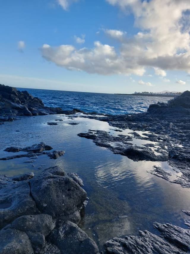 Photo 3 by Mario C. (3/25/26)