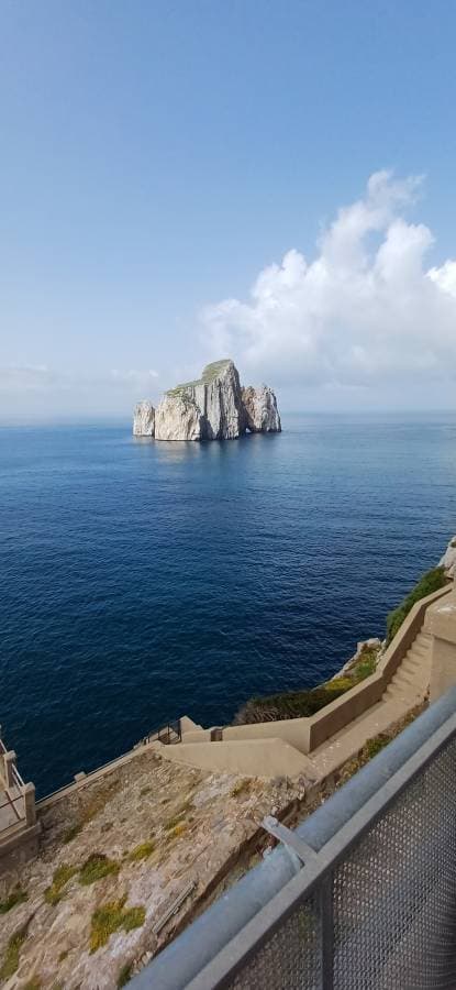 Foto 2 di Sergio B. (15/04/26)
