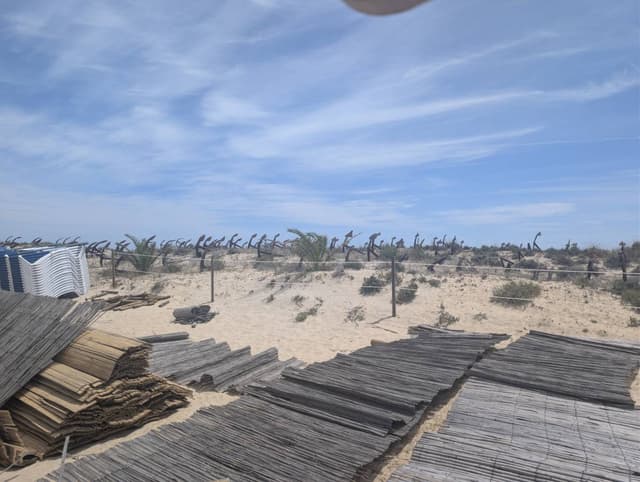 Photo 4 by Theo James H. about hiring a Volkswagen Up at Faro Airport (10/05/26)