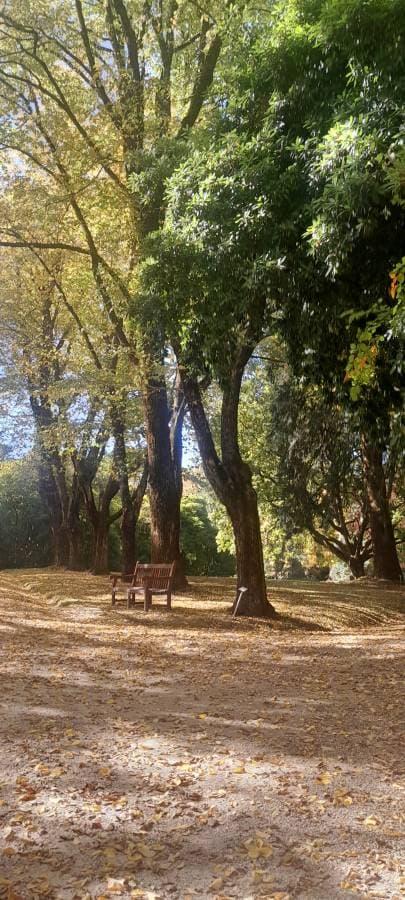 Photo 1 by Fahi M. about renting a Toyota Yaris in Melbourne (4/21/25)