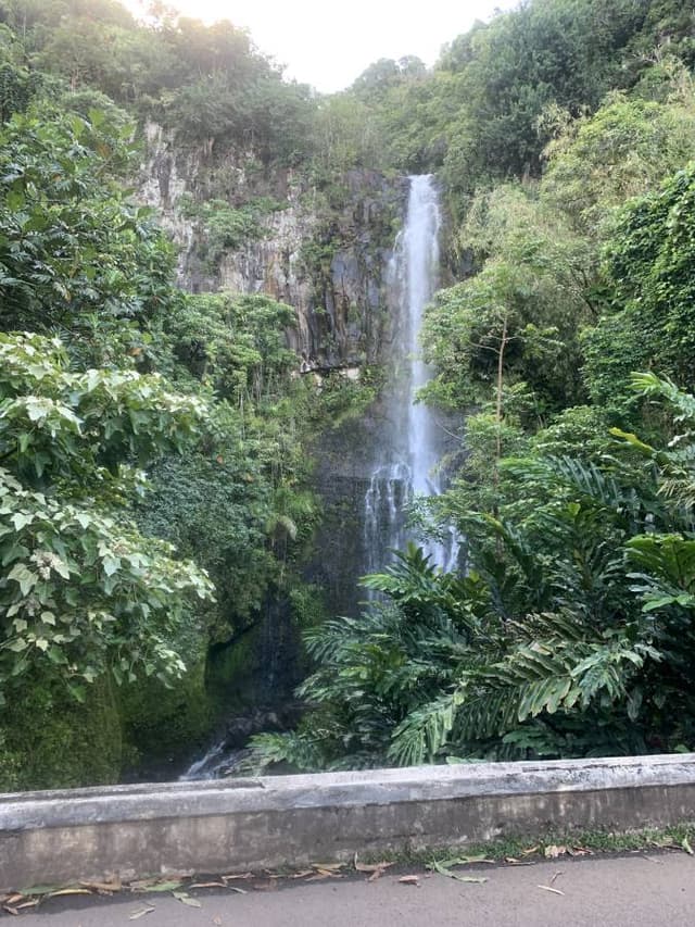 Photo by Dallas P. about renting a Toyota Rav4 in Kahului (6/20/23)