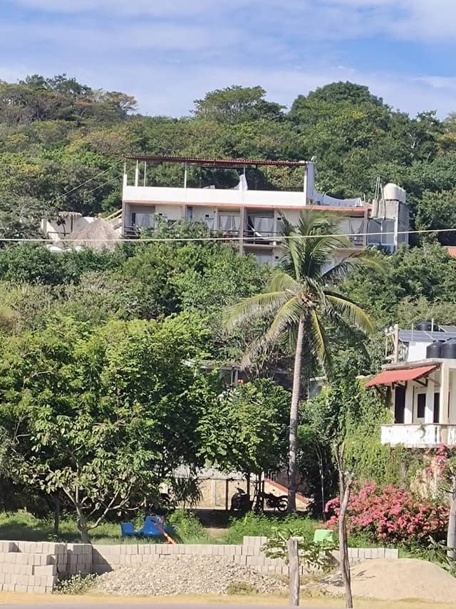 Photo 1 by Ales H. (11/19/25)