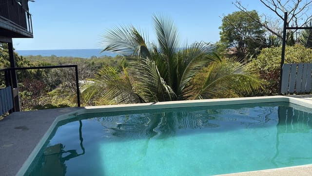 Photo 2 by Michele C. (3/20/26)