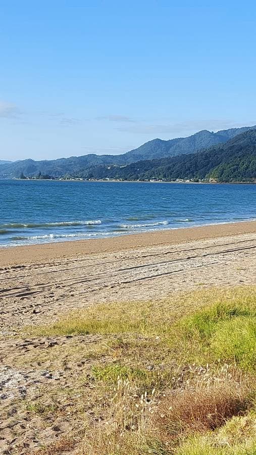 Photo 6 by Julie D. about renting a Toyota Aqua at Auckland Airport (1/30/25)