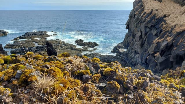 Zoltan P. 2. számú fényképe (23. 04. 05.)