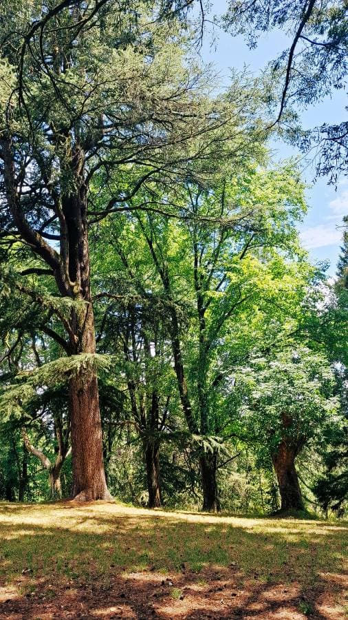 Photo 2 by Supasit M. (1/7/25)