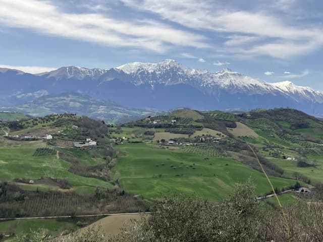 Photo 3 by Carlotta C. (4/6/24)