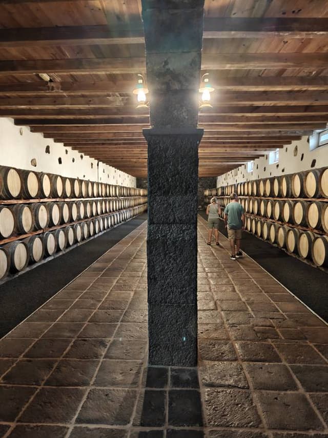 Foto 3 van Rob S. (20-11-25)