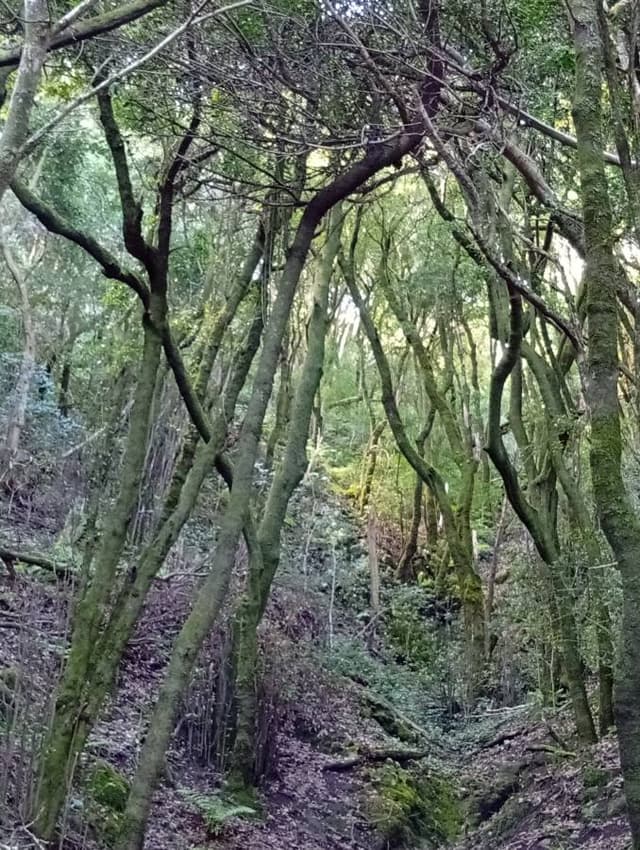 Foto 10 di Massimo D. (04/01/26)