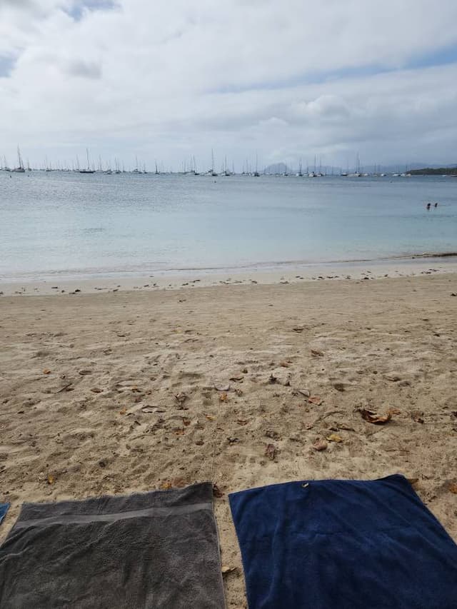 Photo 4 by Georges E. about renting a Suzuki Swift at Fort-de-France Le Lamentin Airport (1/20/24)