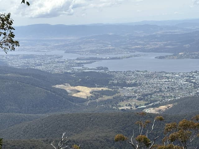 Photo 4 by Janyne W. (1/9/26)