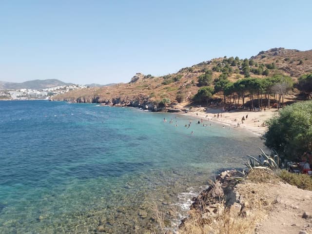 Foto 1 van Ahmed H. (27-8-24)