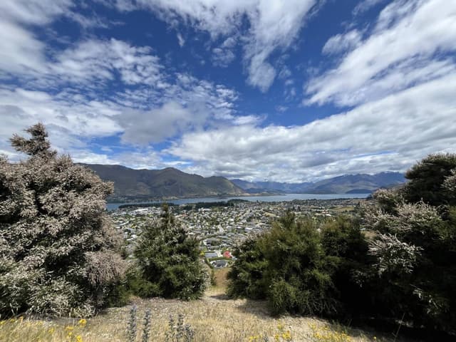 Photo 2 by Jacqueline C. about hiring a Toyota Corolla at Queenstown Airport (12/01/26)