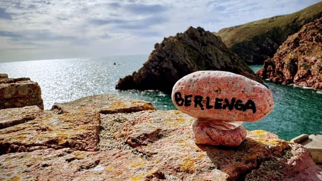 Foto 5 de Flavio M. (14/11/25)