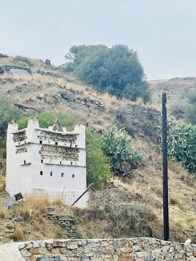 Photo 3 by Lisa B. about renting a Toyota Yaris at Tinos Port (6/17/24)