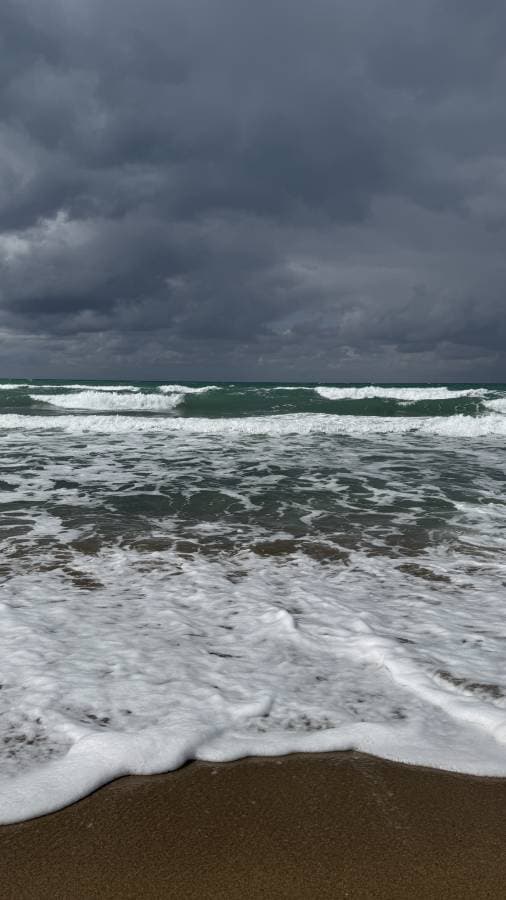 Photo 6 by Kyrylo H. (3/26/26)