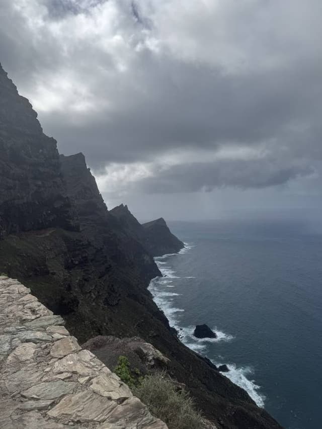 Bilde 2 av Frank Remy B. (26.12.25)