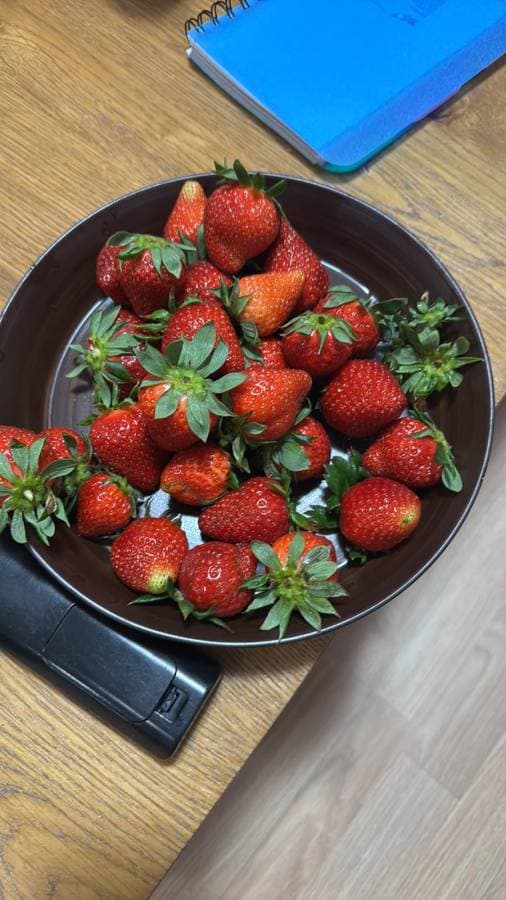 Photo 7 by Kyrylo H. (3/26/26)