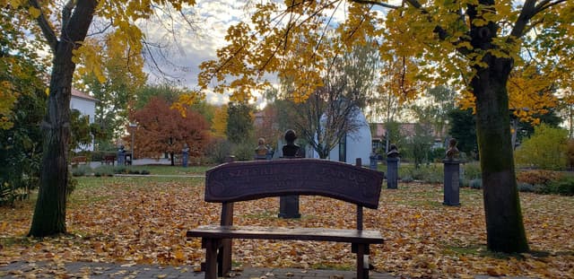 Henkilön Natalia O. kuva 2 (3.11.25)