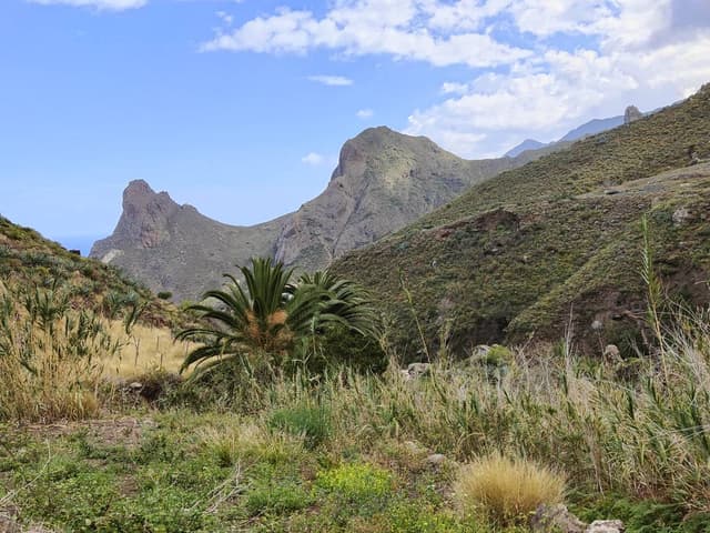 Foto 2 von Jan V. über die Anmietung eines Citroen C3 auf Teneriffe (31.3.24)