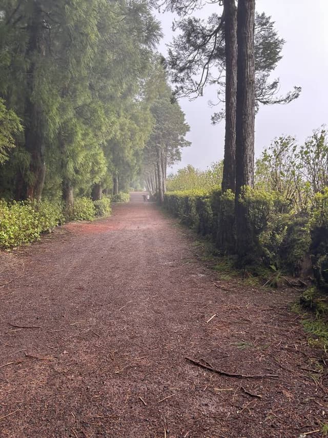 Foto 1 de Ana M. (11/04/26)