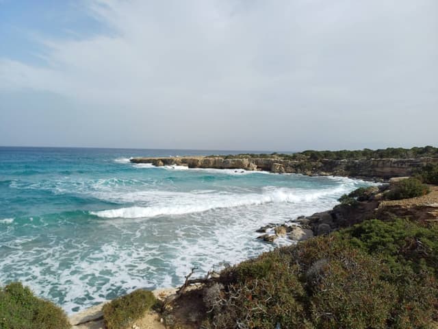 Zdjęcie 1 wykonane przez Jan O. (19.02.26)