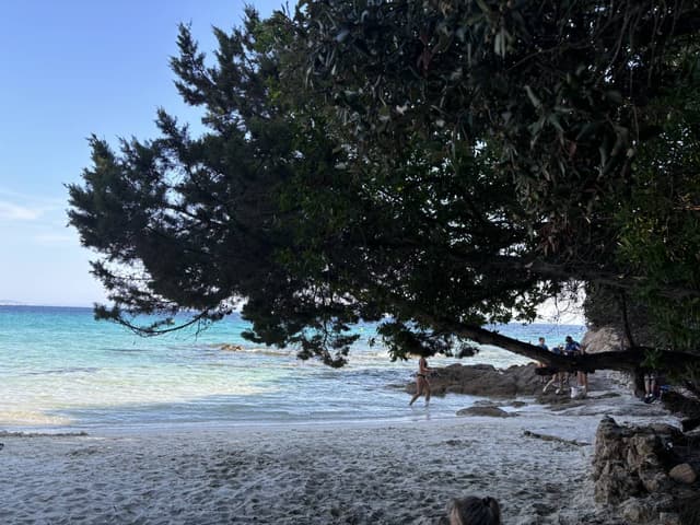 Foto 2 di Angela L. sul noleggio di una Renault Twingo in Corsica (14/08/24)