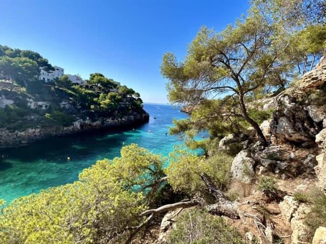 Foto 5 od Zbynek S. o pronájmu Fiat 500 na Letišti Palma de Mallorca (9/11/23)