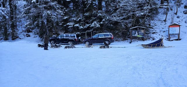 תמונה 4 מאת Ilya G. (5.1.25)