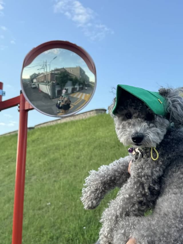 Sungin K.의 사진 2 (24. 10. 6.)