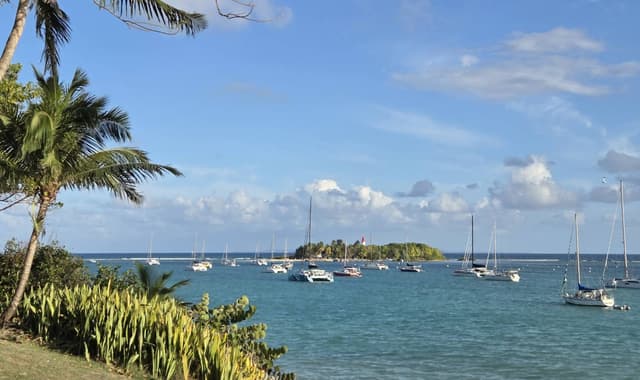 Photo 1 par Raynald L. (20/03/26)