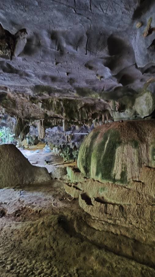 Foto 7 von Claudia D. (12.1.24)