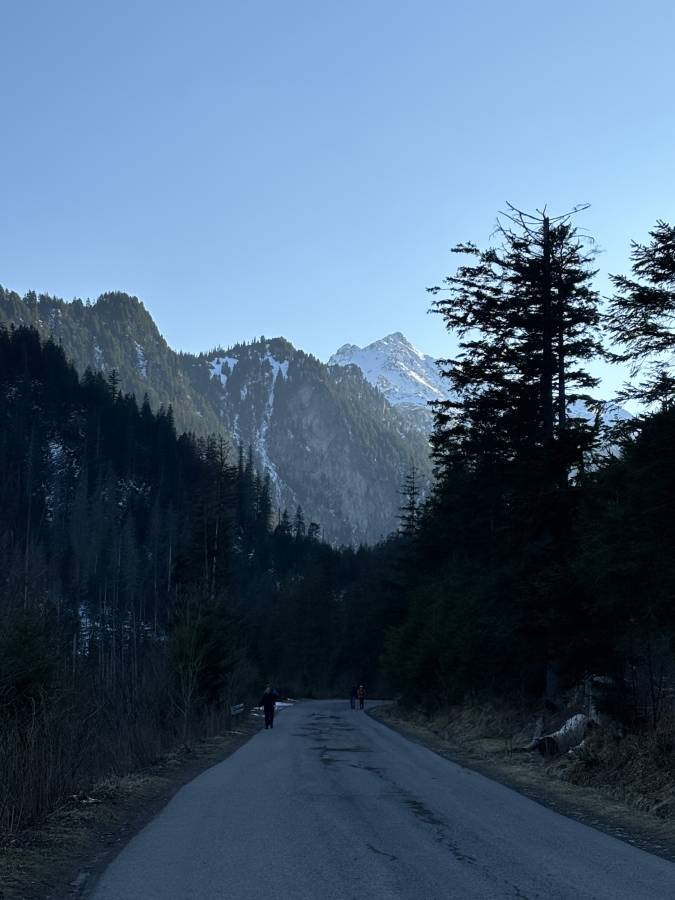 Photo 4 by Ruslans Z. (3/25/25)