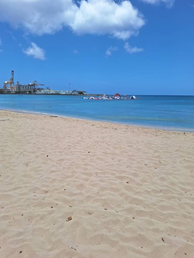Photo 1 by Linda P. (5/29/26)