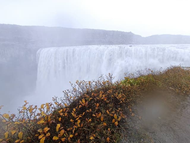 Foto 2 di marina F. sul noleggio di una Hyundai i10 a Keflavik (17/10/23)