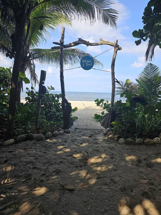 Photo 1 by Carlos R. (10/25/23)