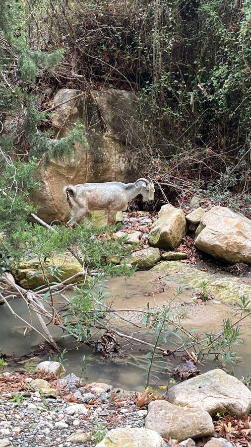 Photo 4 by Monika R. (12/17/23)