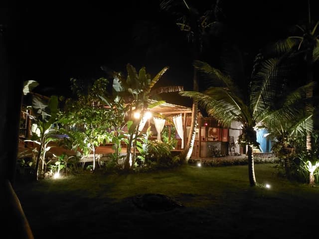 Foto 3 de Paulo M. (11/11/25)