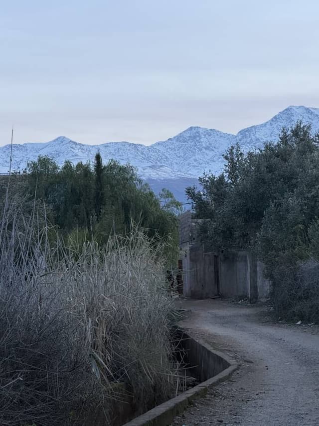 Photo 2 by ali elazher E. (1/28/26)