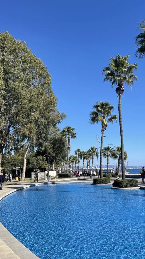 Zdjęcie 4 wykonane przez Sylwia M. dotyczące wynajmu Suzuki Swift w na Lotnisku w Pafos dnia (19.01.25)